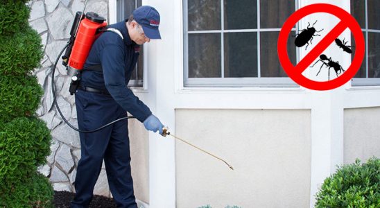 Gökçebey Fare İlaçlama böcek ilaçlama ve haşere kontrolü — ilaclama-tr.com